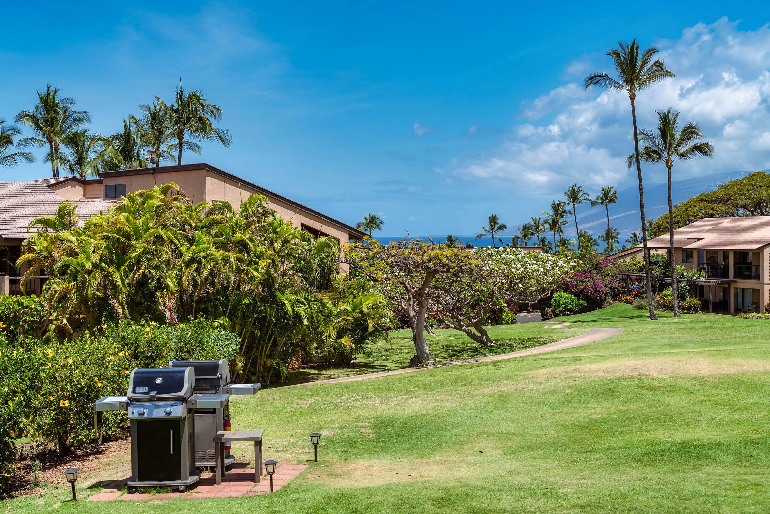 A well-maintained lawn with a grill and table, surrounded by palm trees and a view of the ocean.