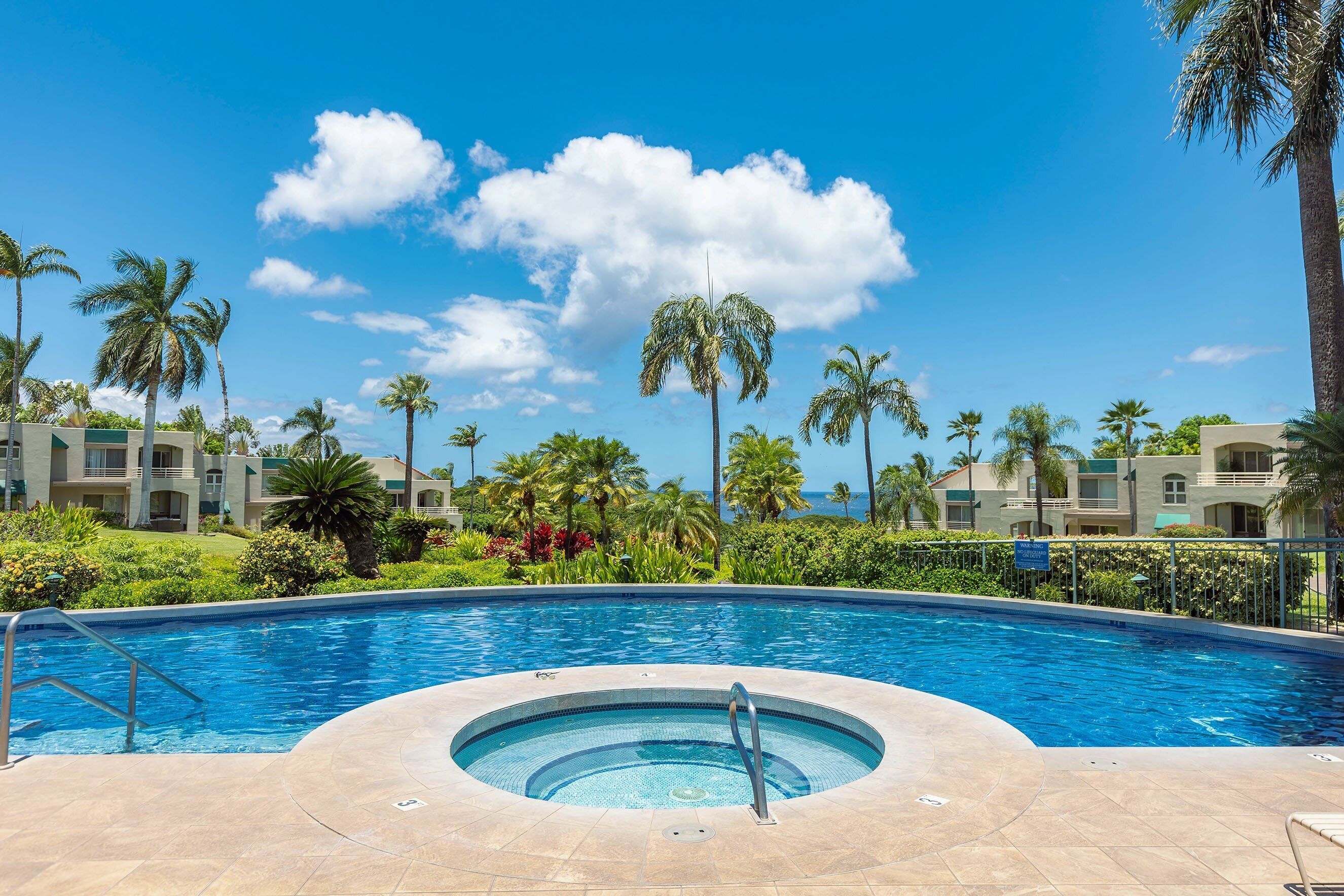 Una piscina con jacuzzi, rodeada de palmeras y un cielo azul despejado.