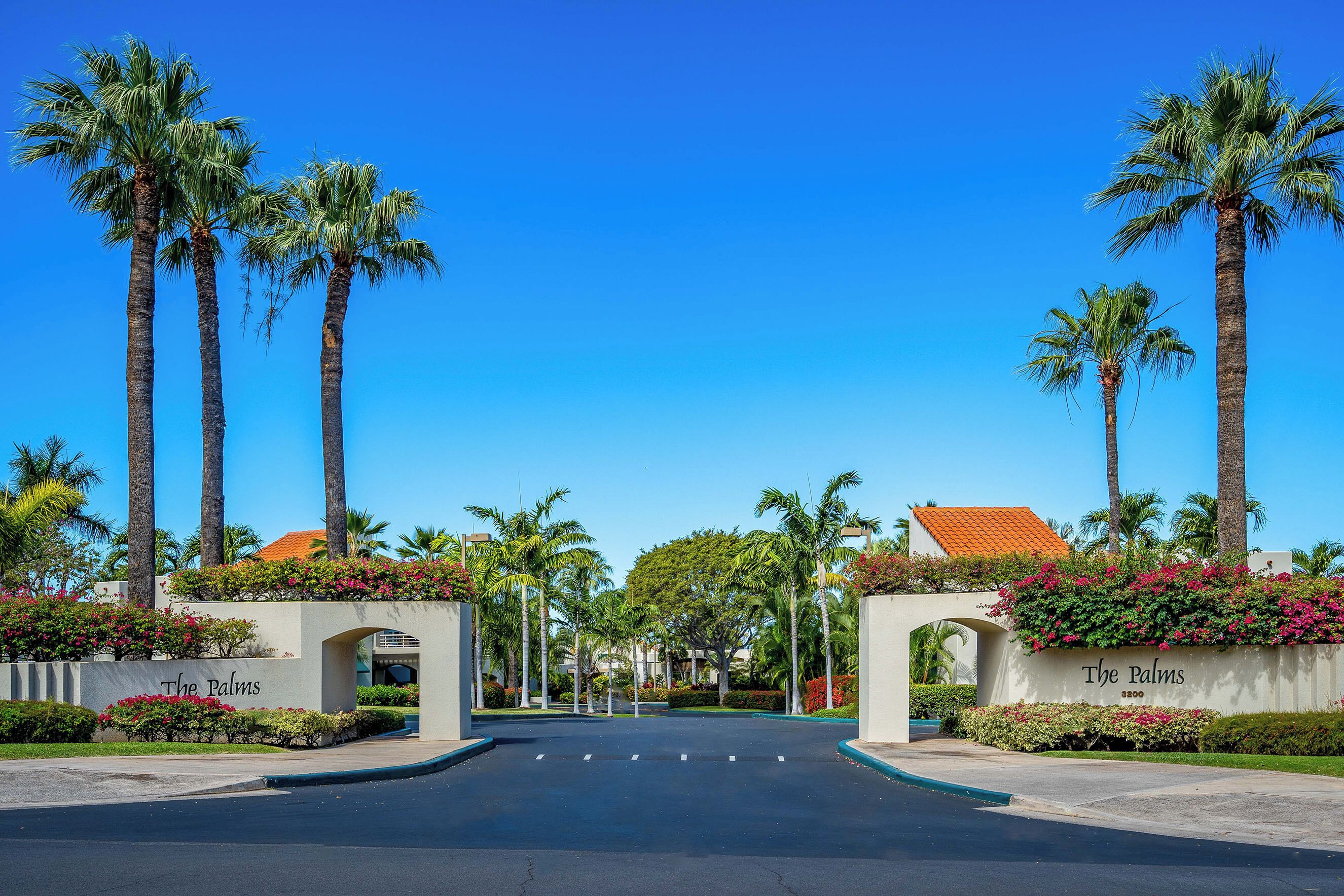 A gated entrance with palm trees and a clear blue sky.