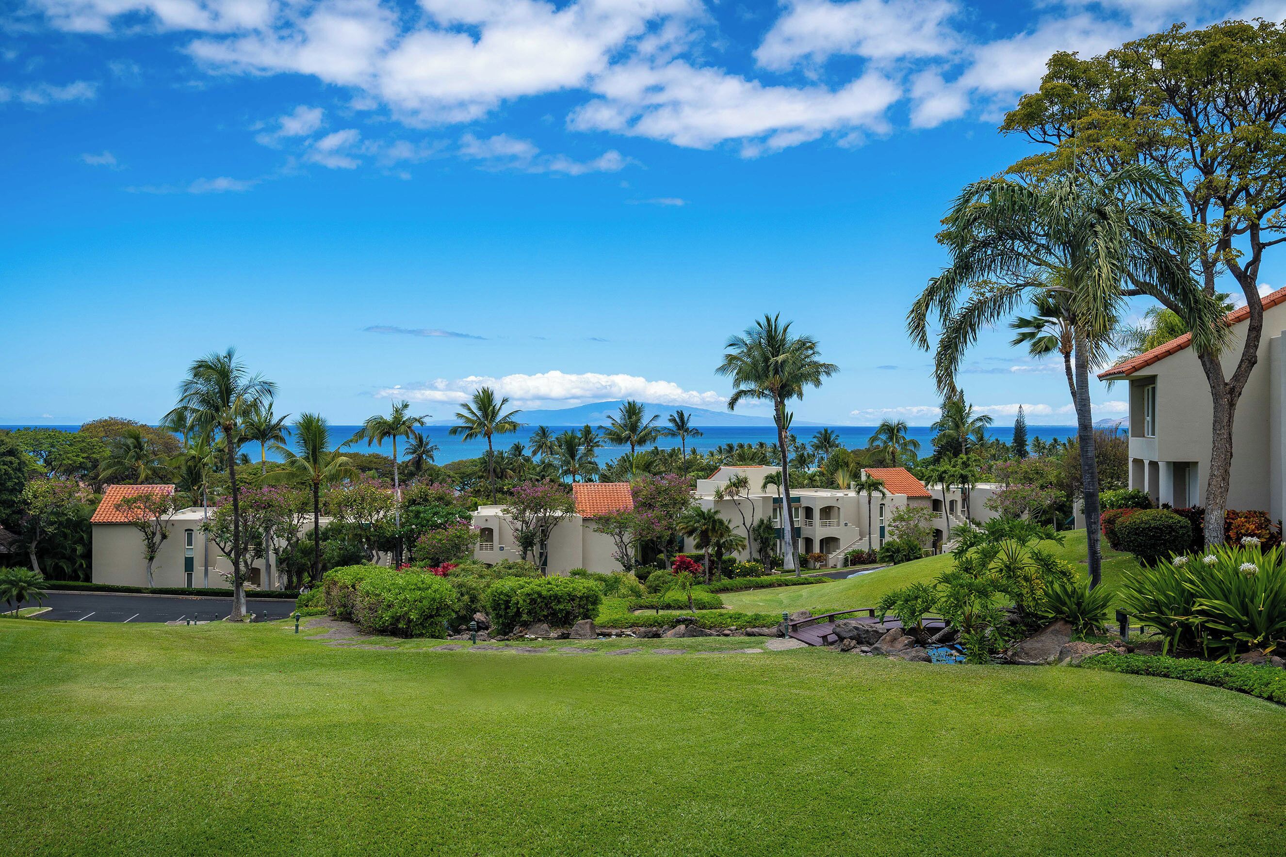 A residential area with houses, a well-maintained lawn, and a view of the ocean.