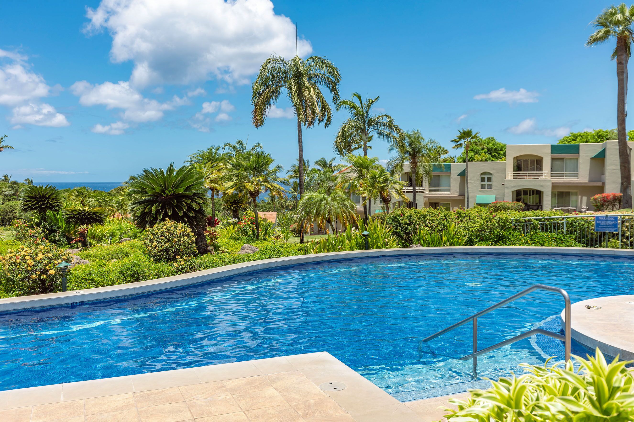A swimming pool with a metal ladder, surrounded by lush greenery and palm trees, with a building in the background.