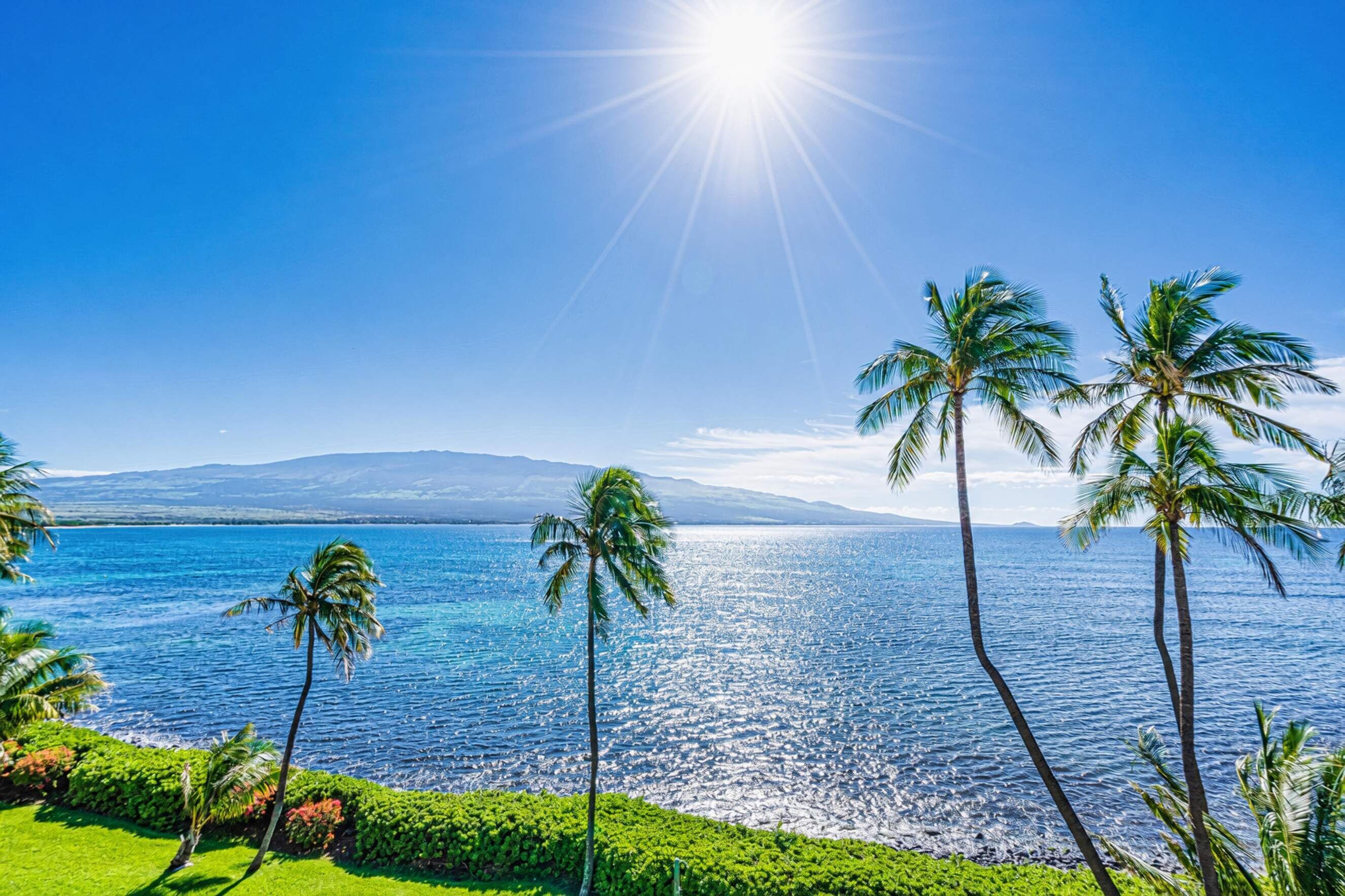 Una playa tropical con palmeras y una vista despejada del océano.