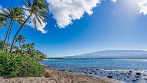 A beach with palm trees, clear blue water, and a mountain in the background. - Maalaea Banyans 411 - Modern Renovation, Direct Ocean Front, Incredible View, AC (Wailuku)