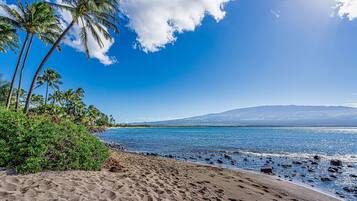 A beach with palm trees, clear blue water, and a mountain in the background.