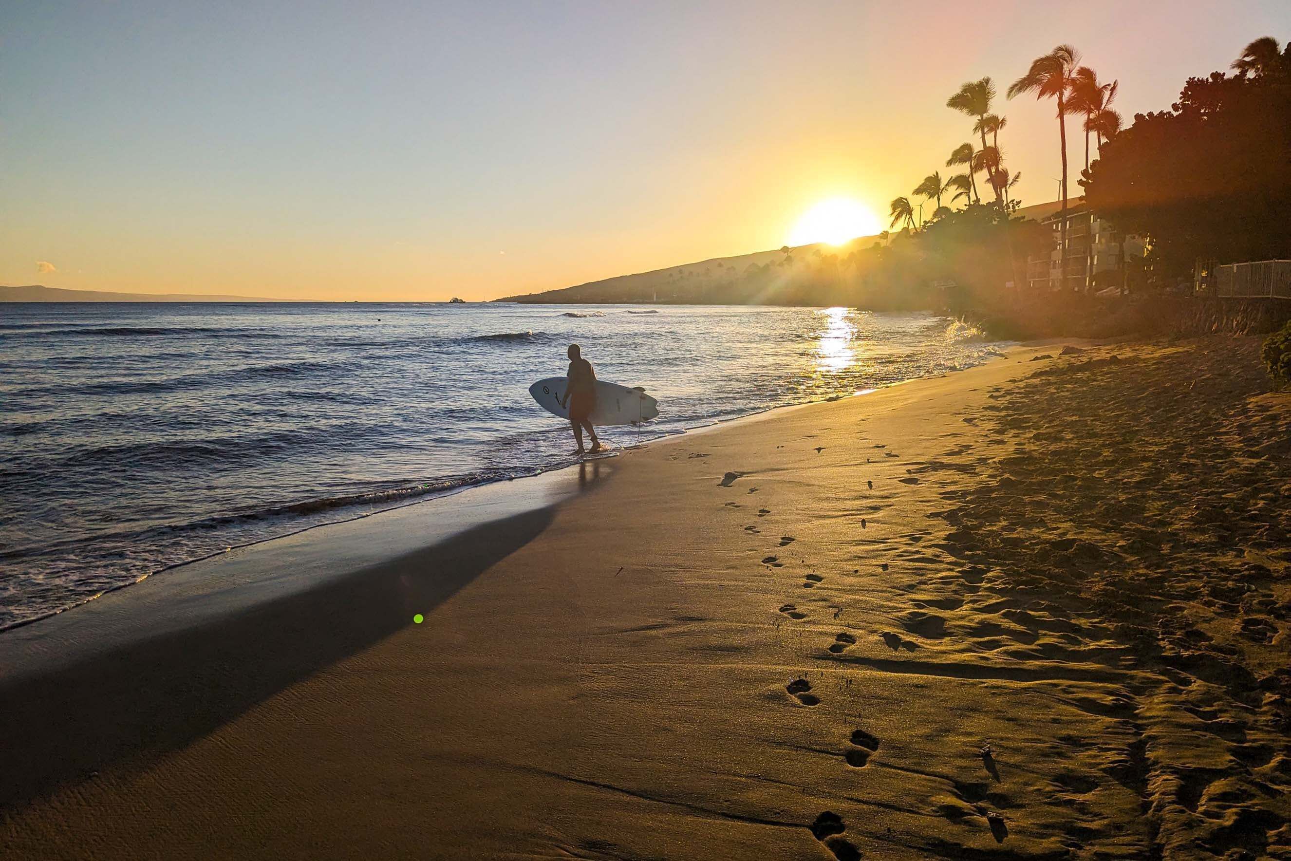 A beach scene with footprints leading to the water, a person with a surfboard, and palm trees in the background.