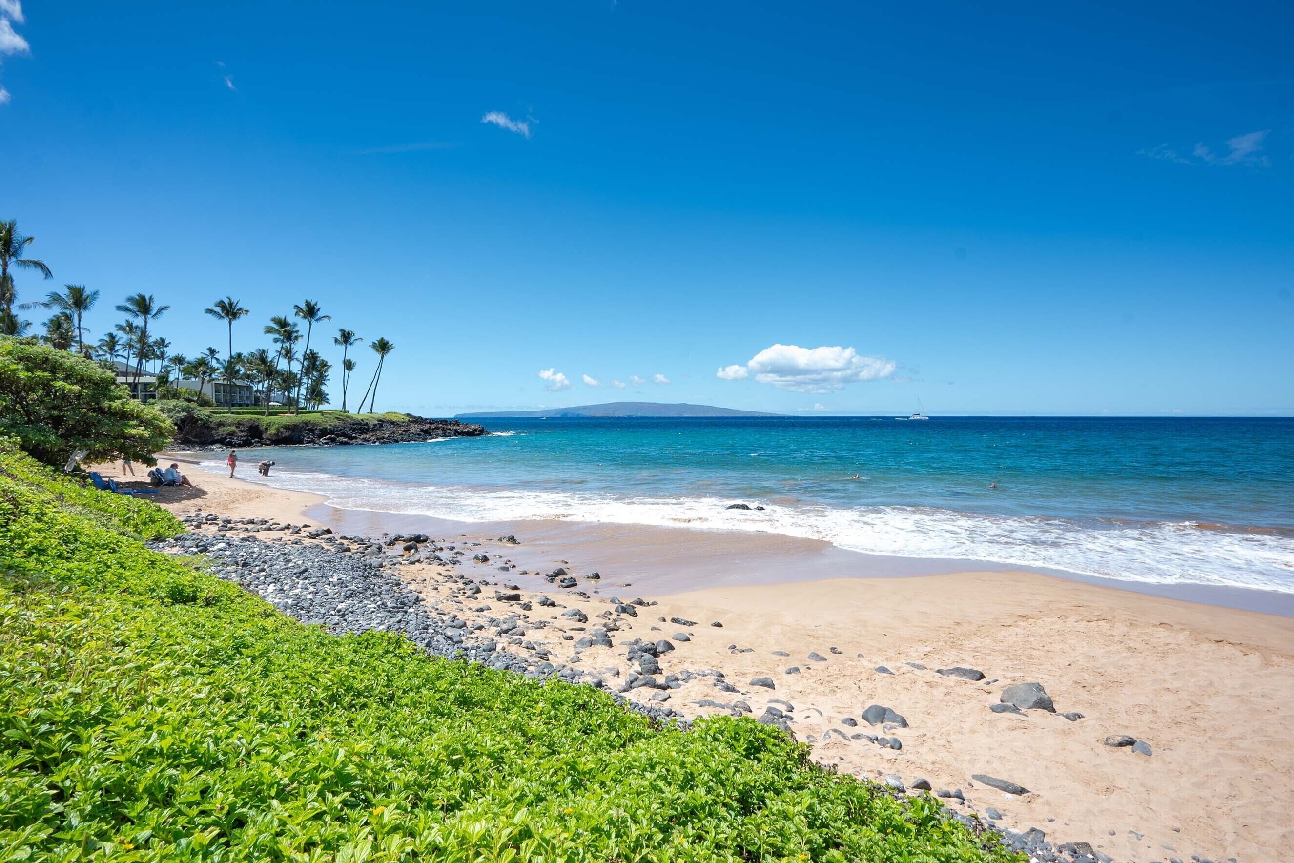 Ein Strand mit klarem, blauem Wasser, sandigem Ufer und grüner Vegetation.