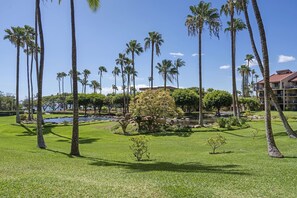 Exterior - Kamaole Sands 10-113 - Ocean View, Ground Level, Stunning Renovation, Split-ac! (Kihei)