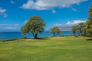 En grön park med träd och utsikt över havet.