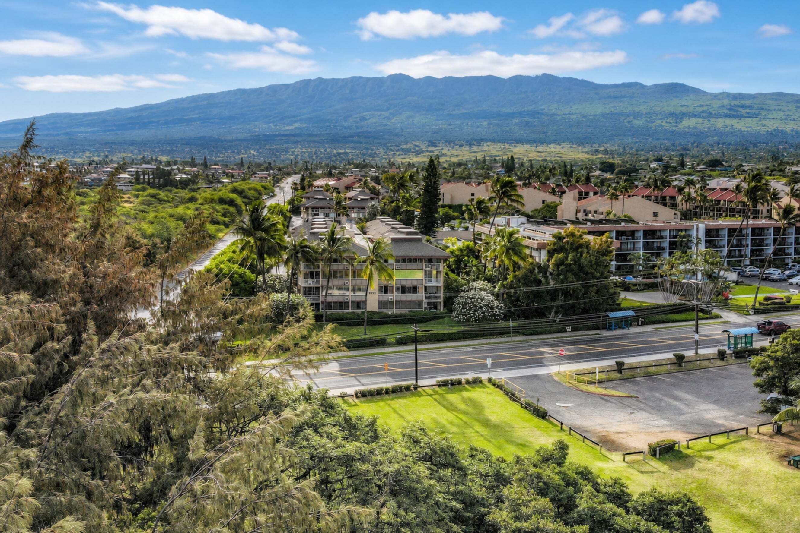 A residential area with a road, buildings, and a mountain range in the background.