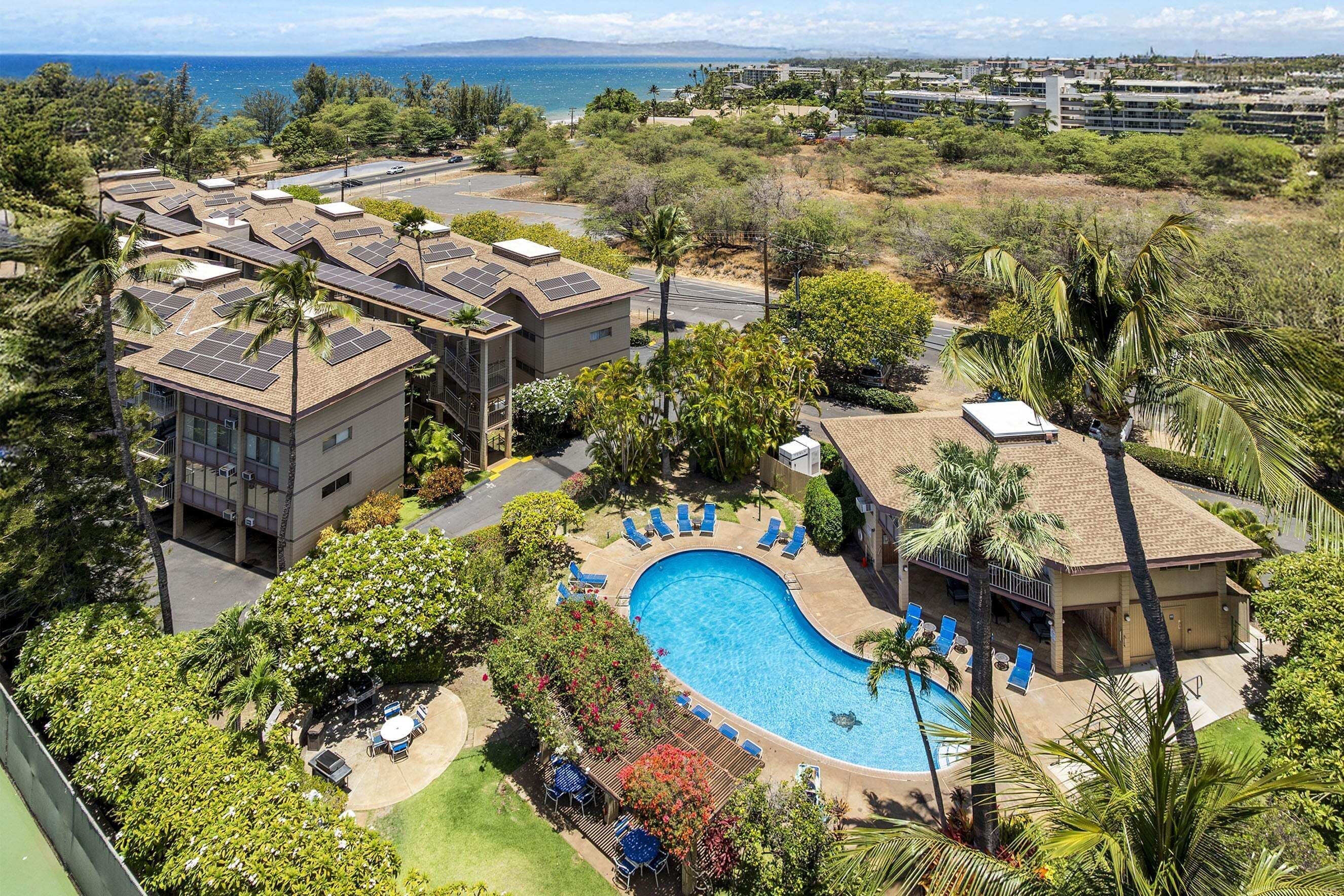 A residential area with a swimming pool, solar panels on buildings, and a view of the ocean.