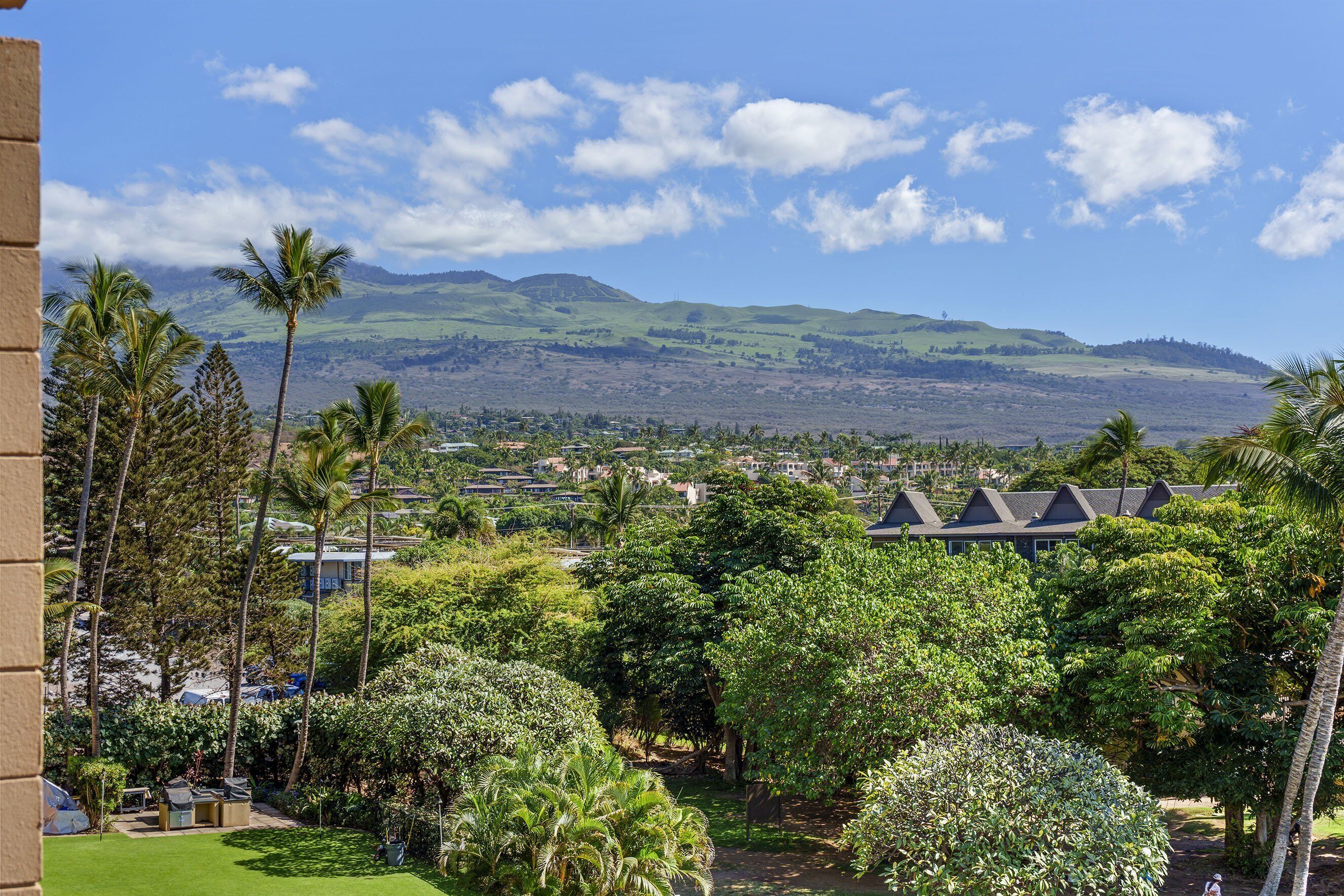 A lush garden with palm trees and a view of distant mountains.