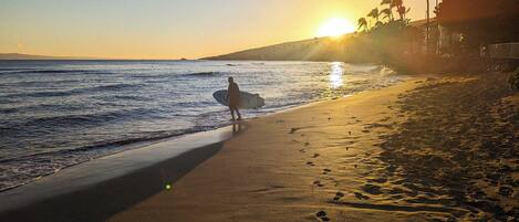 A beach scene with footprints leading to the water, palm trees, and a sunset.