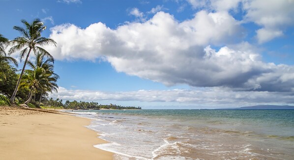 Beach nearby - Kihei Garden Estates B-103 - Modern Design, Bright & Clean, Concrete Floors, AC! (Kihei)