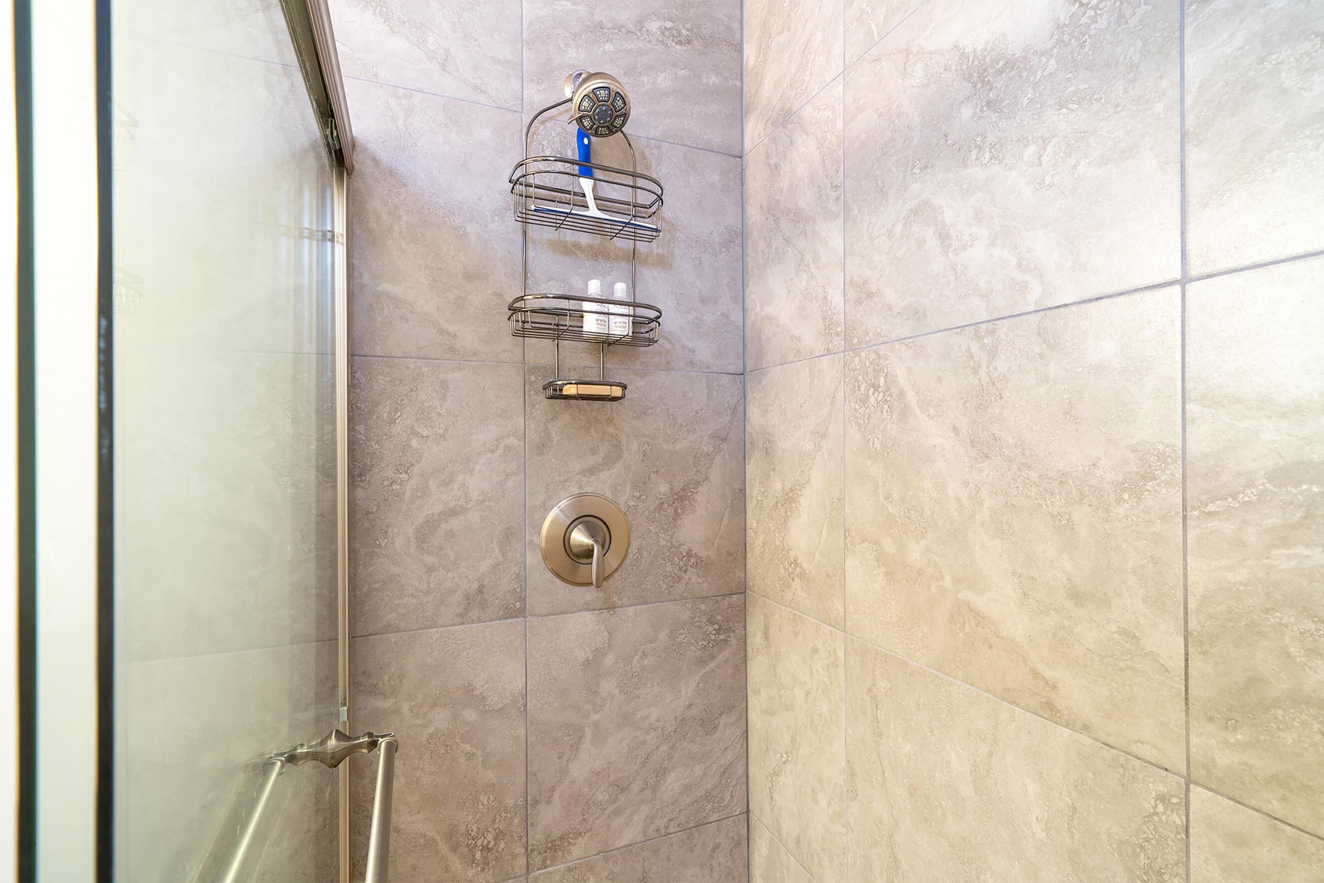 Une douche avec une porte en verre, une pomme de douche en métal et une étagère en métal pour les articles de toilette.