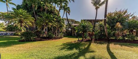 A well-maintained garden with palm trees and a clear sky.