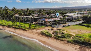 Vista aérea de una zona residencial costera con casas, una playa y palmeras.