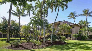 Zona residencial con una casa rodeada de palmeras y un césped cuidado.