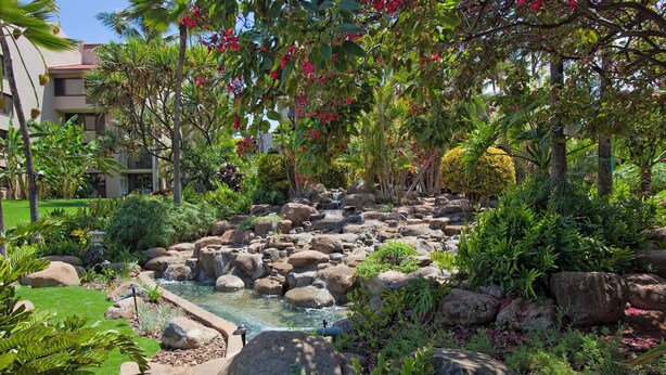 A landscaped garden with a small waterfall, rocks, and various plants. - Kamaole Sands 4-306 (Kihei)