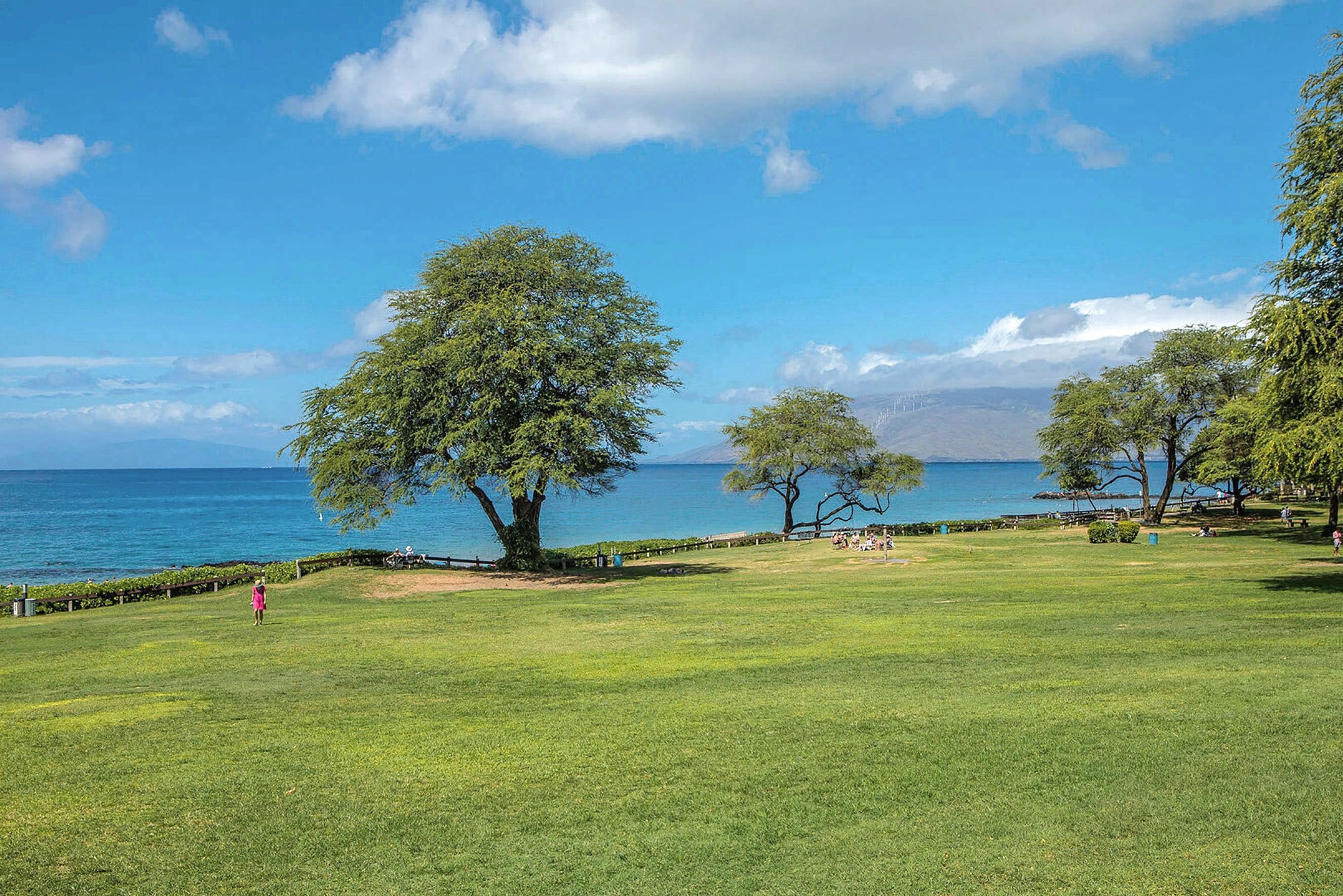 Un parque con césped, árboles y vistas al mar.