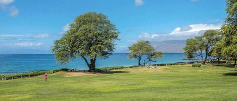 Un parque con césped, árboles y vistas al mar.