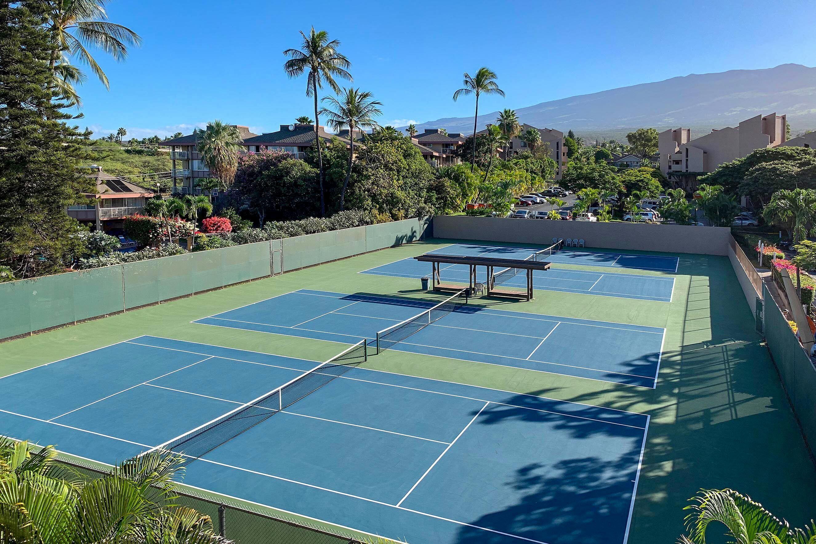 A tennis court with multiple courts, surrounded by greenery and palm trees, with buildings in the background.
