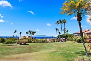 Golf - Wailea Ekahi 45D - Ocean & Garden Views, Beautifully Renovated, Split AC, Wi-fi! (Kihei)