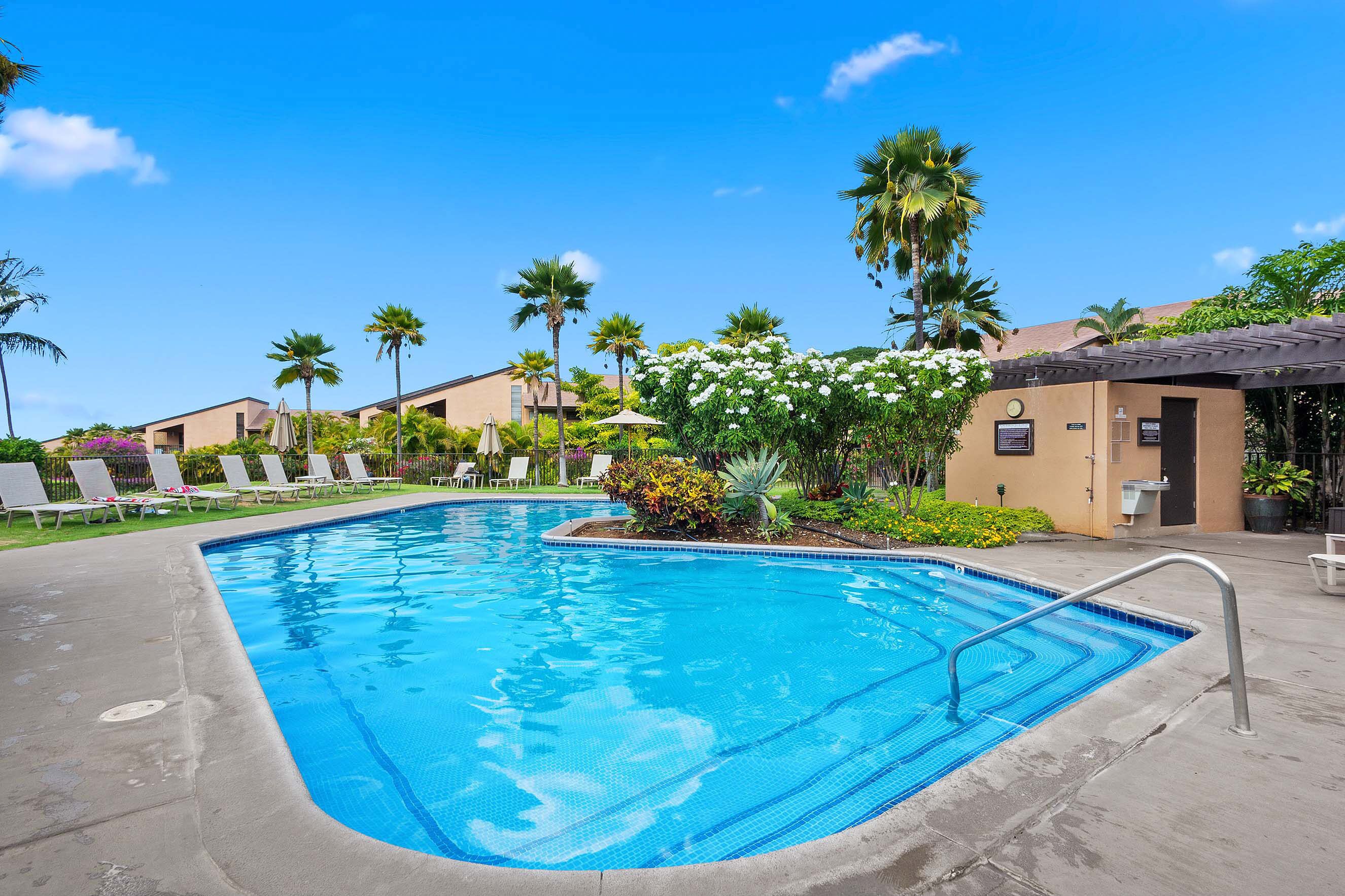 A swimming pool with lounge chairs and palm trees.