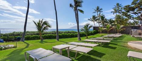 A grassy outdoor area with picnic tables and palm trees, overlooking a body of water.