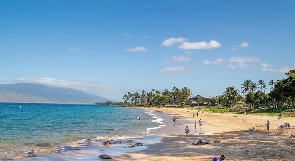 Beach nearby - Kamaole Nalu 301 - Stunning Ocean Views, Renovated, Ocean Front, New Listing! (Kihei)