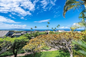 Property grounds - Dramatic Ocean Views, Wailea Ekolu 407, Perfect for Couples, Renovated, Split AC (Kihei)