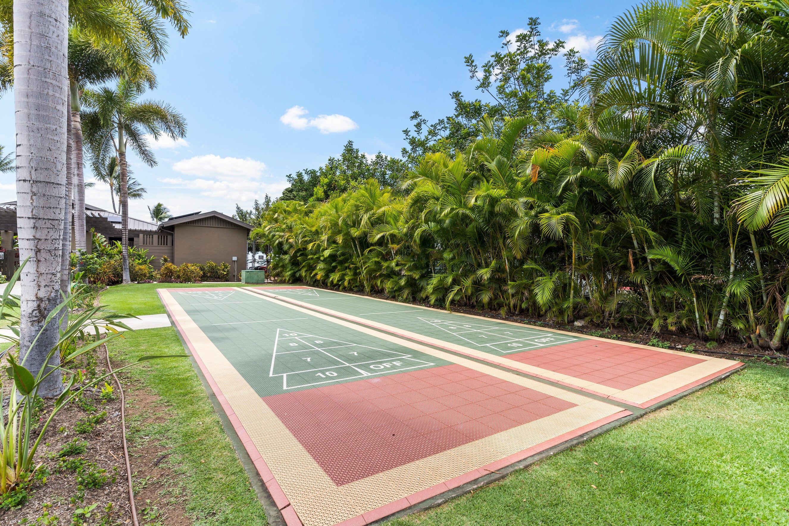 A shuffleboard court surrounded by lush greenery and palm trees.