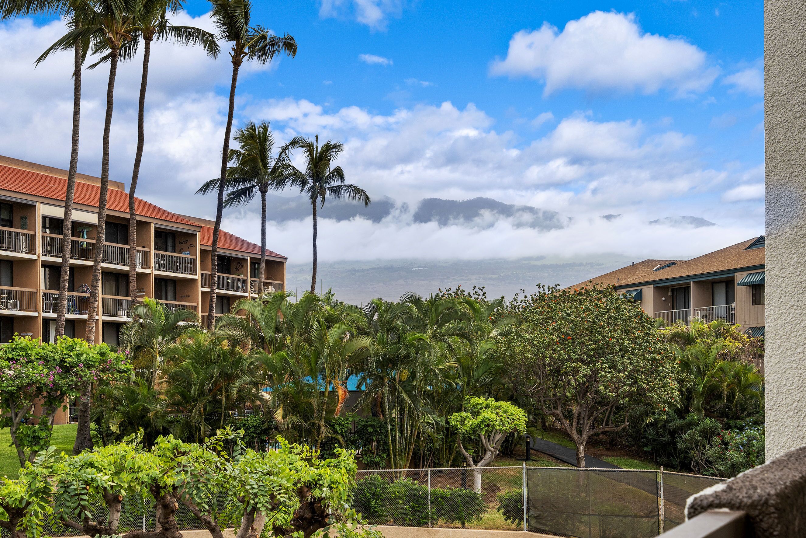 Condo, 1 très grand lit et 1 canapé-lit, balcon, vue sur l’océan (Maui Vista 2-301) | Vue de la chambre