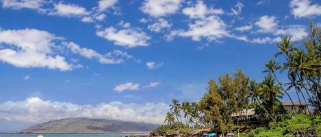 Una playa con cielos despejados, palmeras y una montaña al fondo.