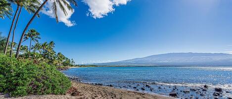 A beach with palm trees, clear blue water, and a mountain in the background.