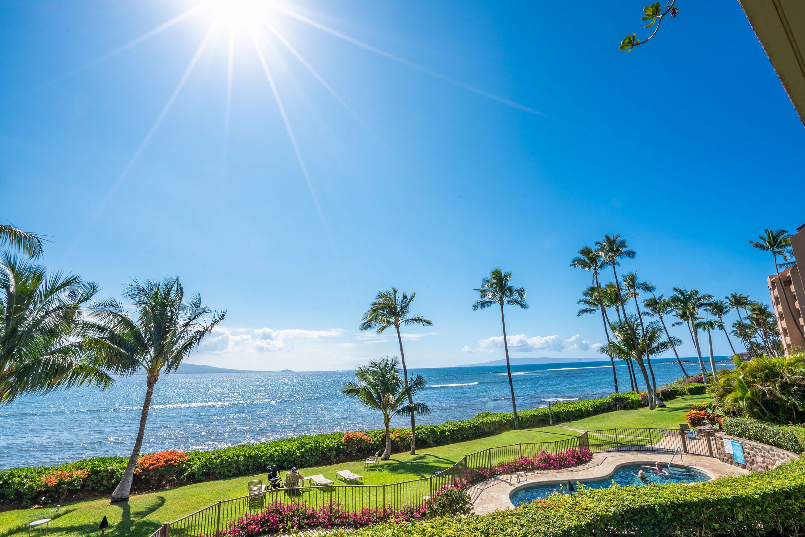 Un resort con piscina, palmeras y vista al océano.