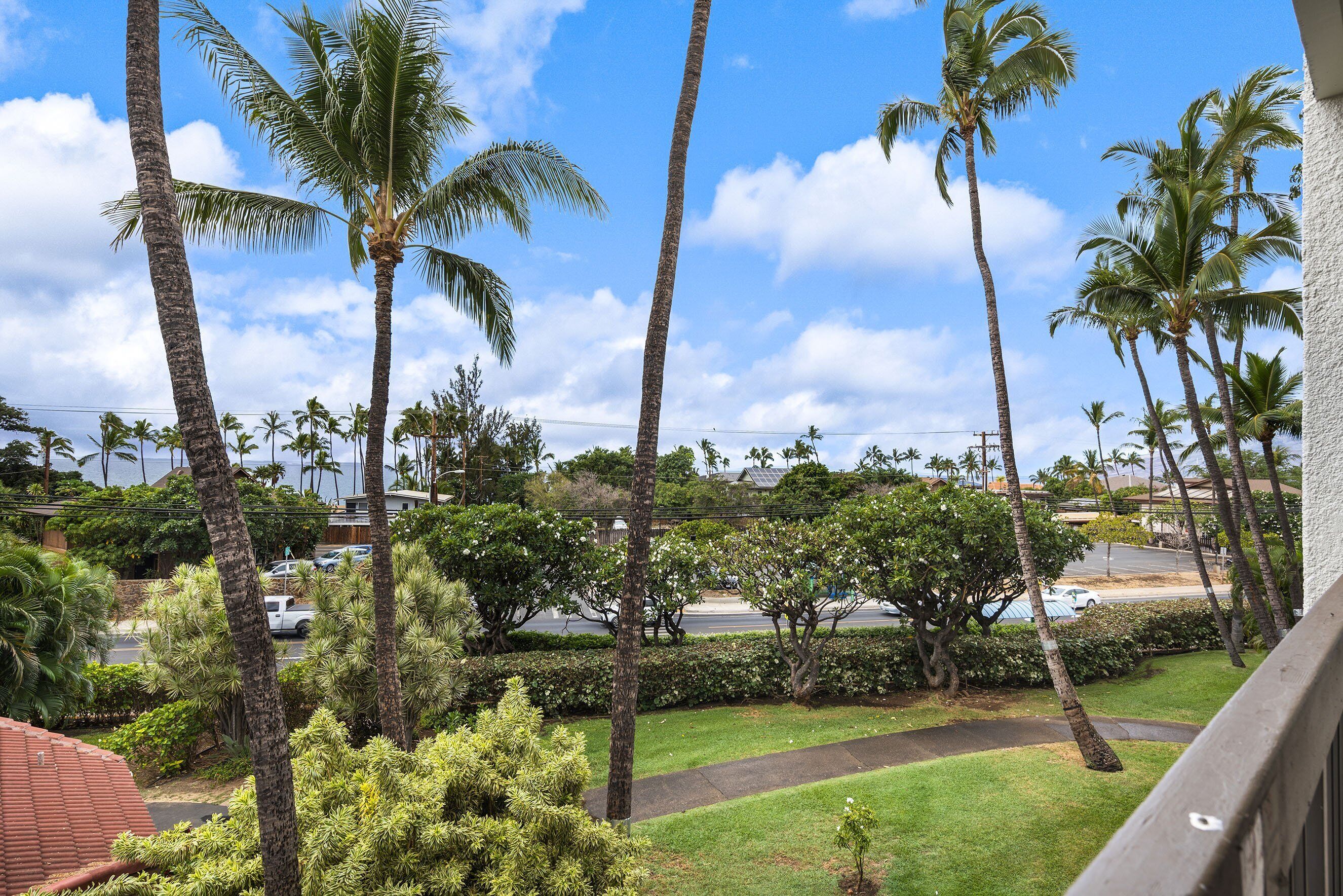 A view from a balcony overlooking a lawn with palm trees, a road, and a building with a red roof.