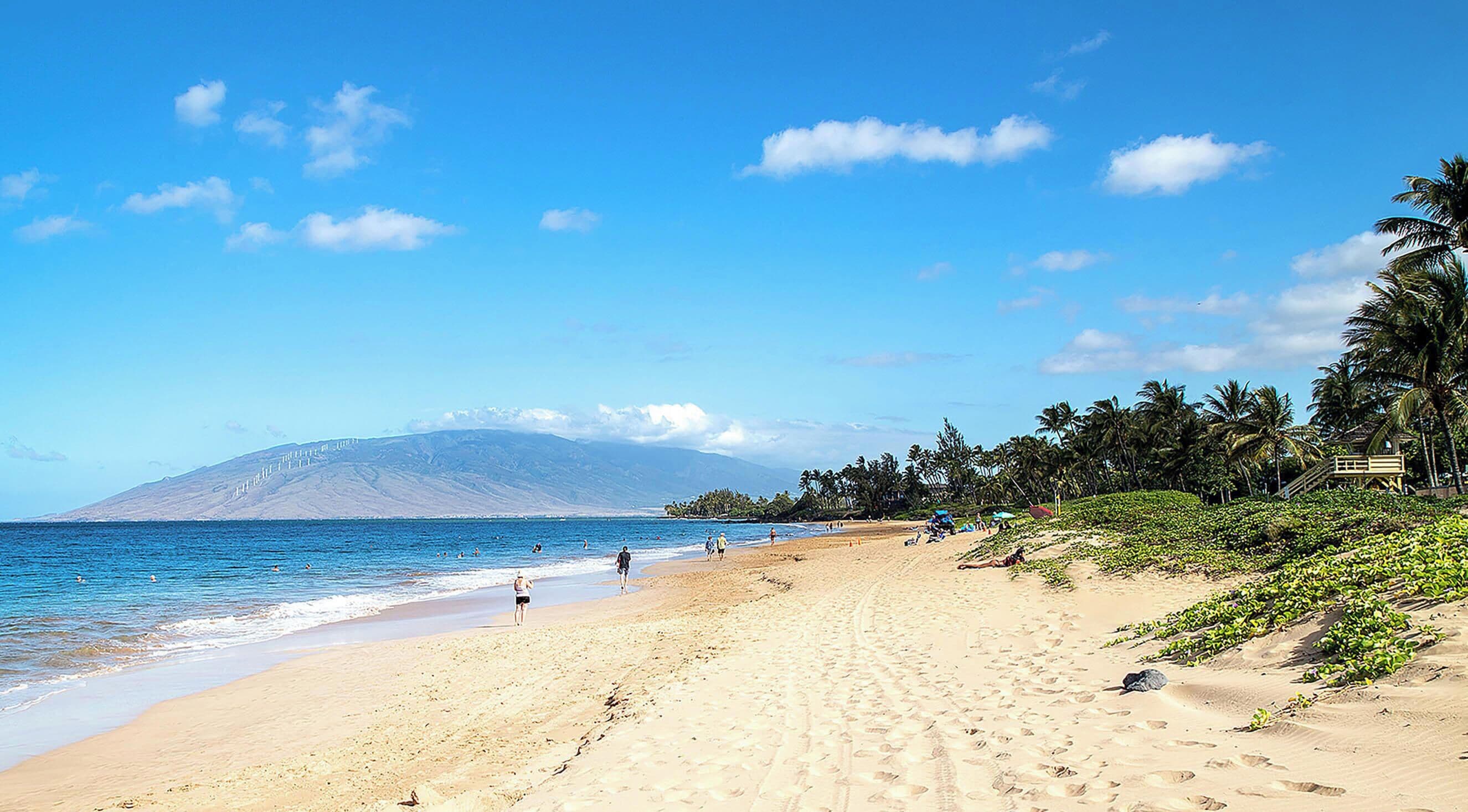 Playa en los alrededores 