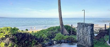 Un chemin pavé mène à une plage où se trouvent un palmier et un mur de pierres.