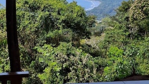 Une vue depuis un espace extérieur abrité, avec une table et des chaises, donnant sur un paysage côtier caractérisé par une végétation luxuriante et un ciel dégagé.