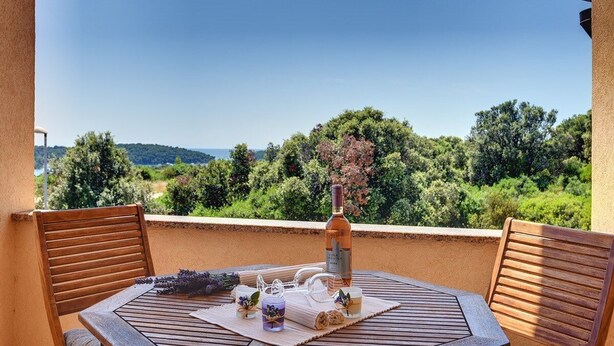 Outdoor dining - Apartments Buic (74271-A1) - Vinkuran (Vinkuran)