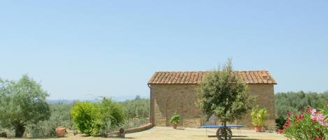 Overnattingsstedets uteområder