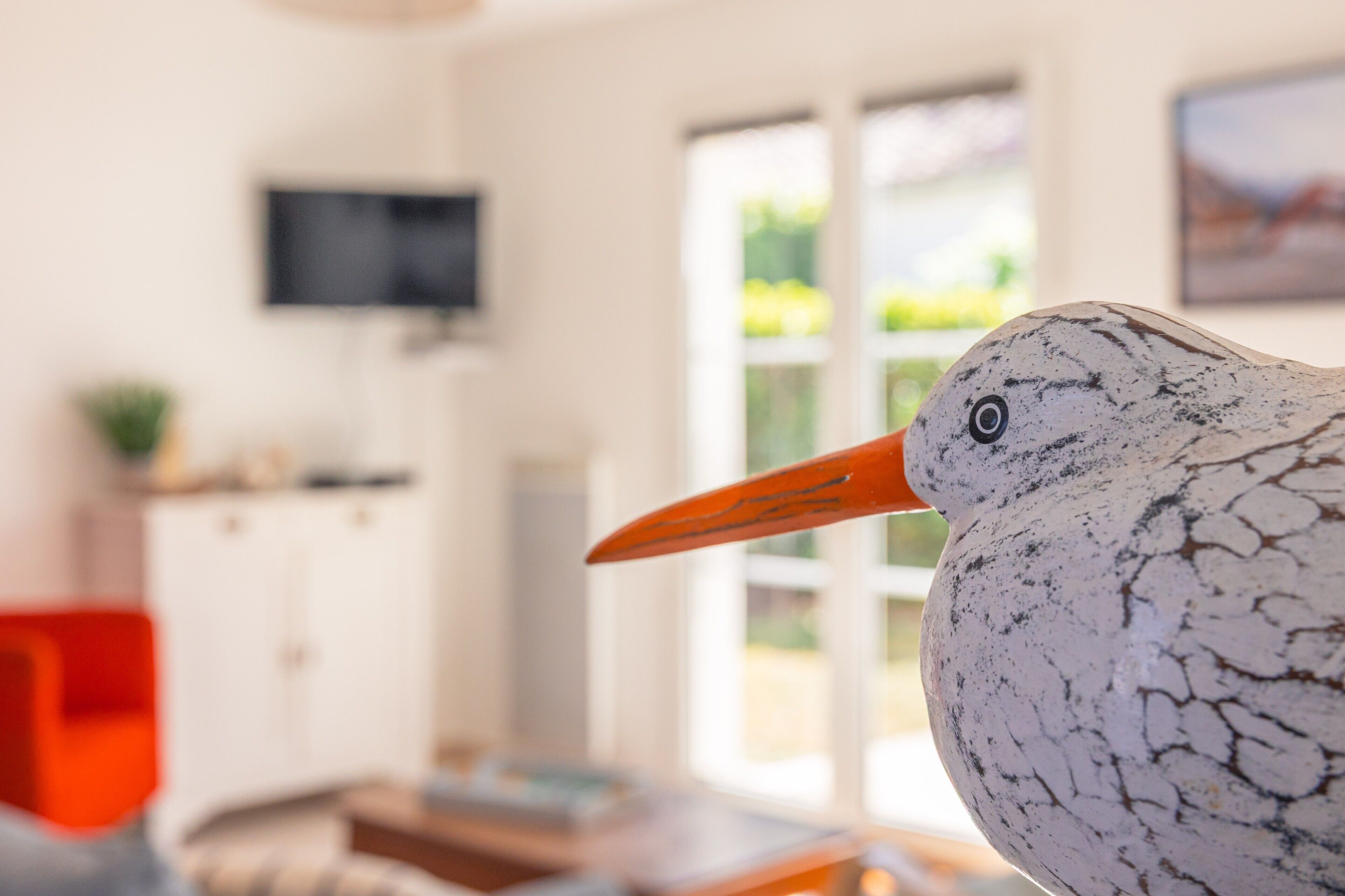 A bird with a distinctive orange beak in a room with a television mounted on the wall and a window with a view of greenery outside.