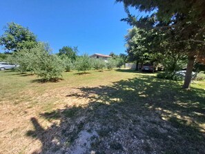 Property grounds - Apartment Orangina (74304-A1) - Medulin (Medulin)