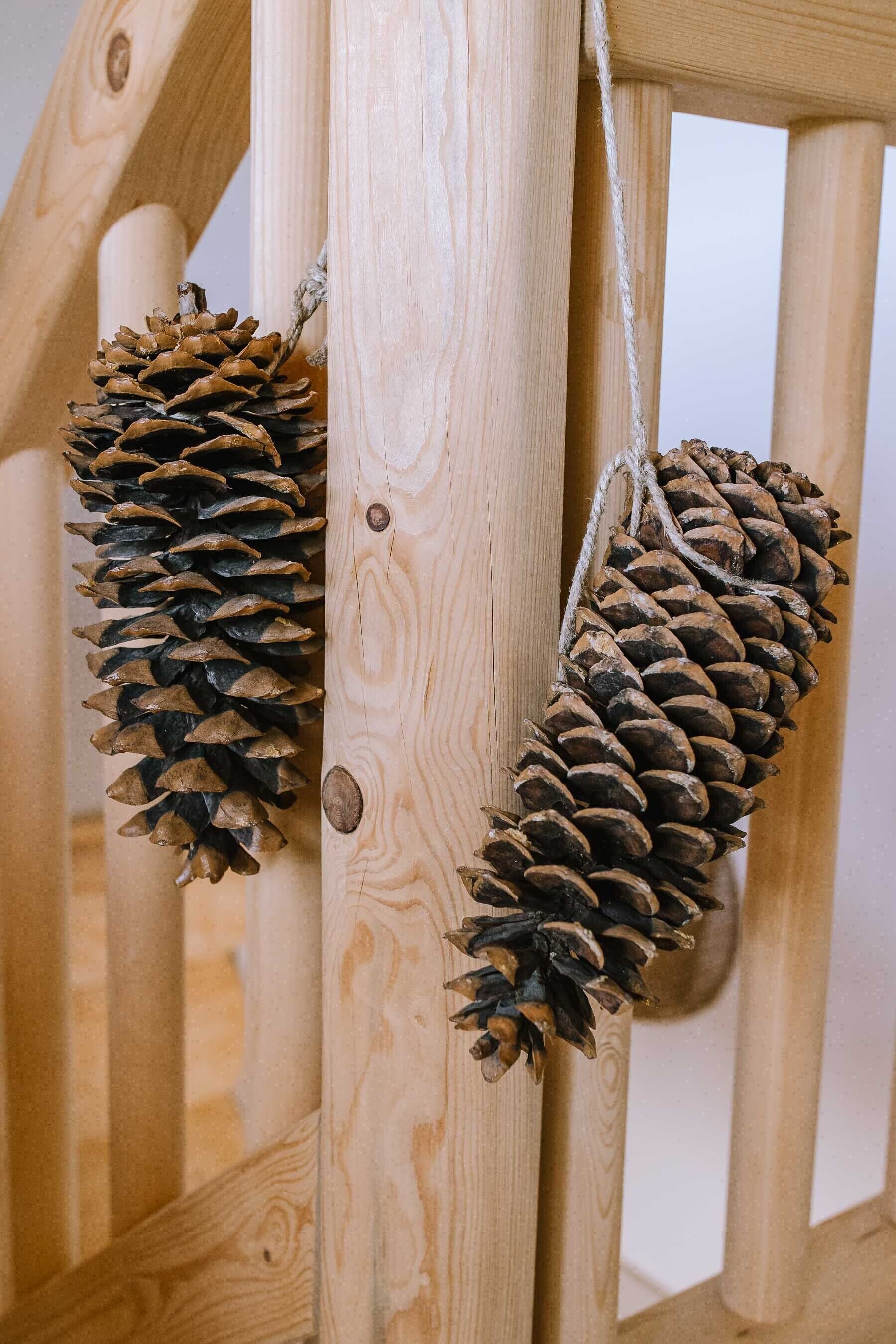 Two pine cones hanging from a wooden structure.