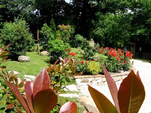 Property grounds - Iris in Cagli by Interhome (Cagli)