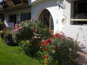 Detalle exterior