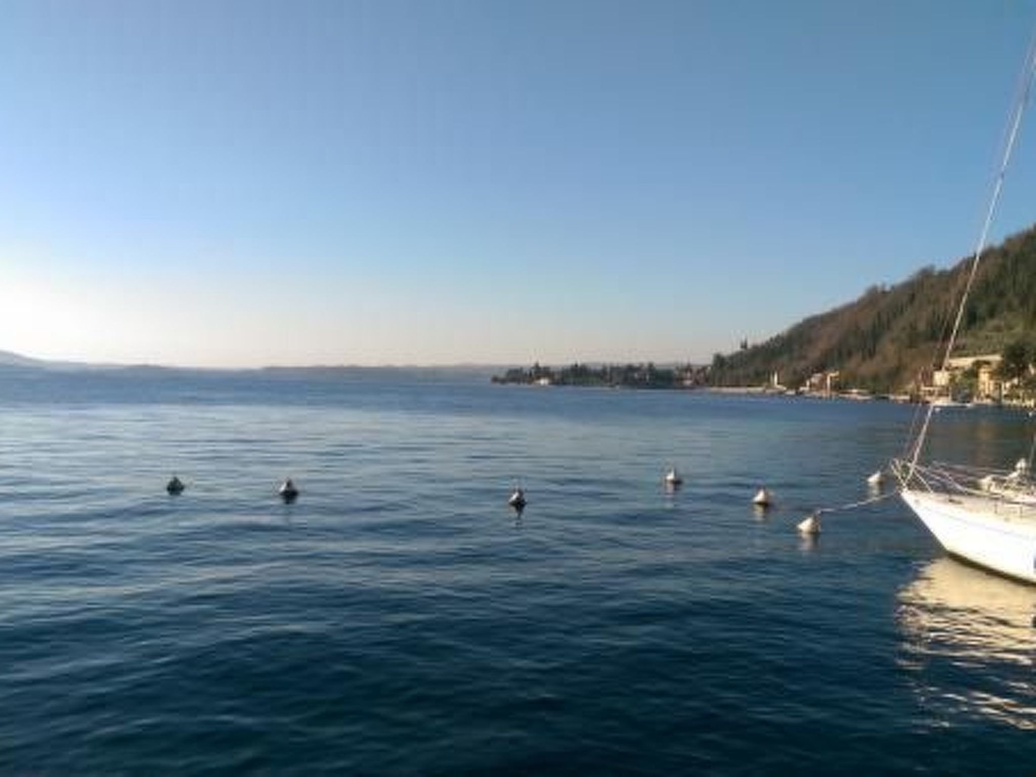 Divers