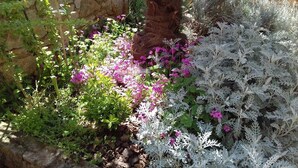Property grounds - House Mladen (74401-K1) - Medulin (Medulin)