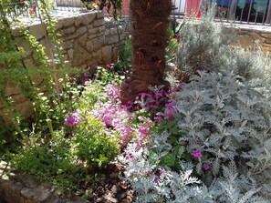 Property grounds - House Mladen (74401-K1) - Medulin (Medulin)