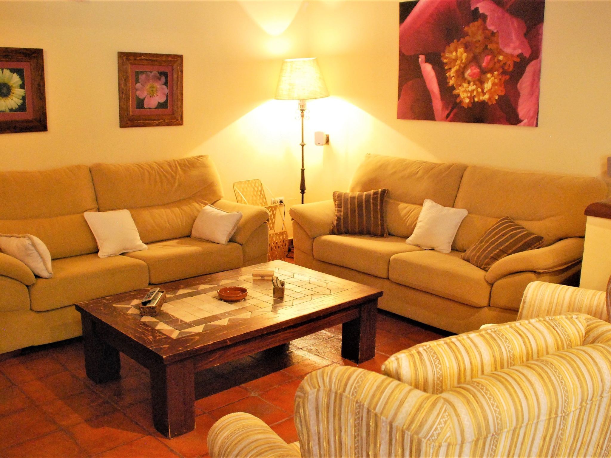 Télévision, cheminée, lecteur de DVD